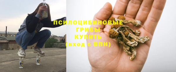 тгк Алексин