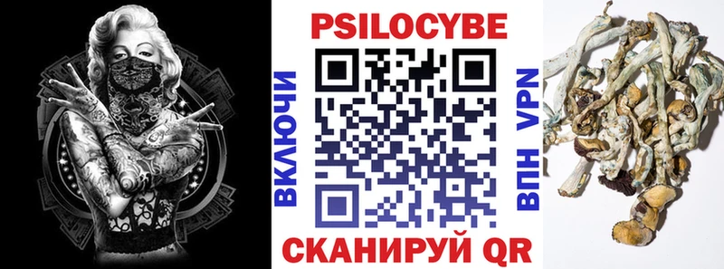 Галлюциногенные грибы Psilocybe что такое Новоульяновск